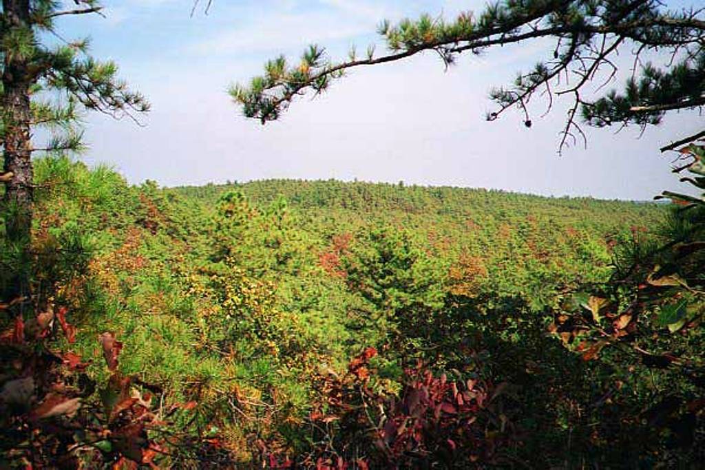 View of the Forked River Mountains in Autumn