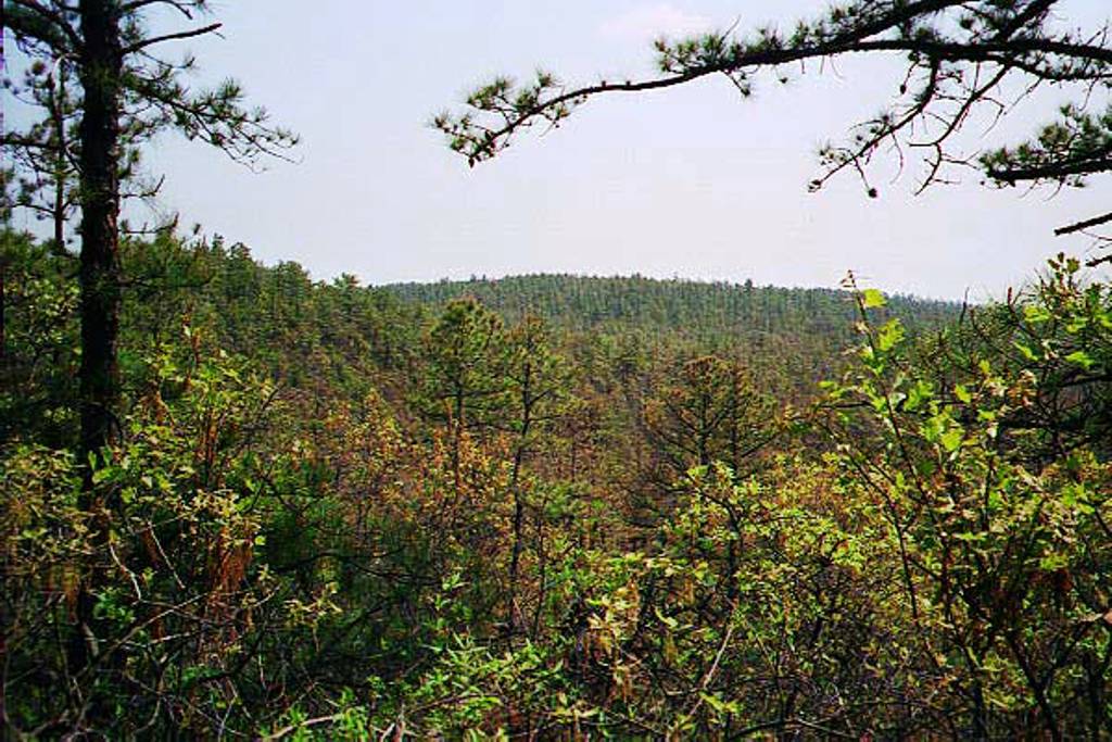 Forked River Mountains in Spring