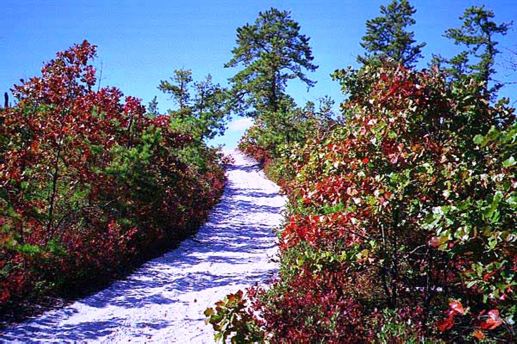 Trail to the top of the Forked River Mountains in Autumn