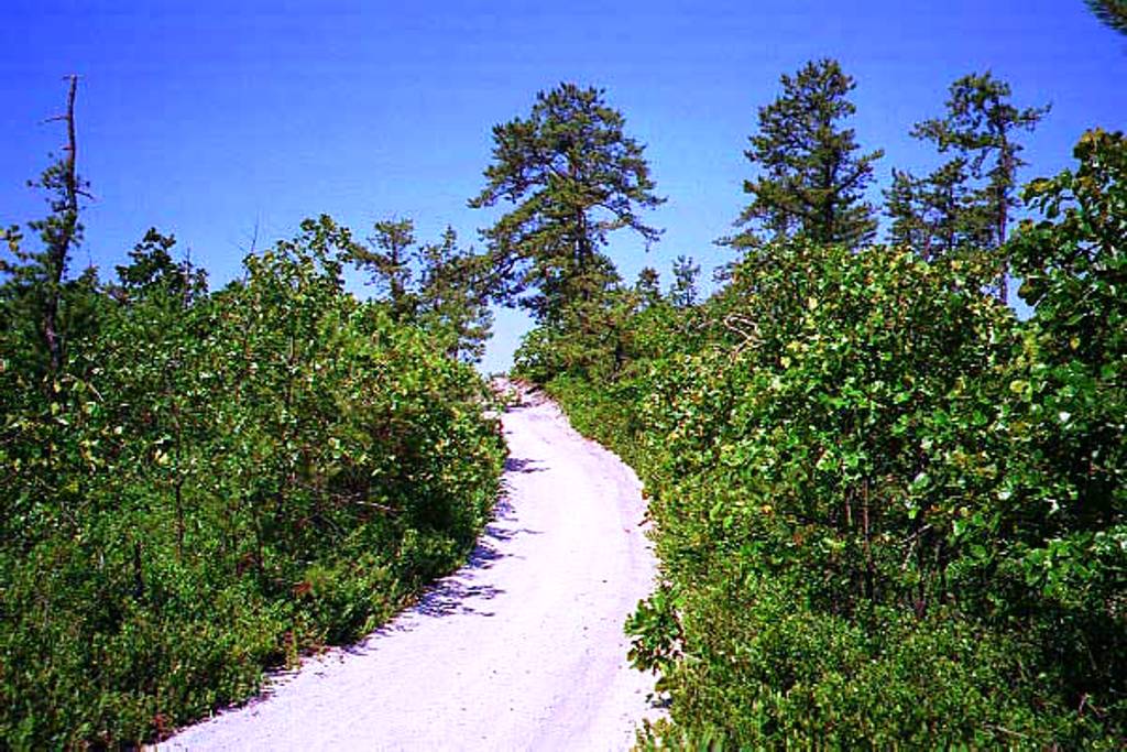 Trail to the top of the Forked River Mountains in Summer