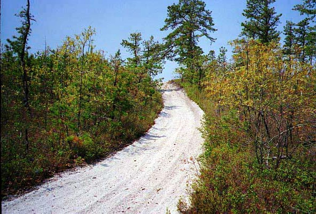 Trail to the top of the Forked River Mountains in Spring