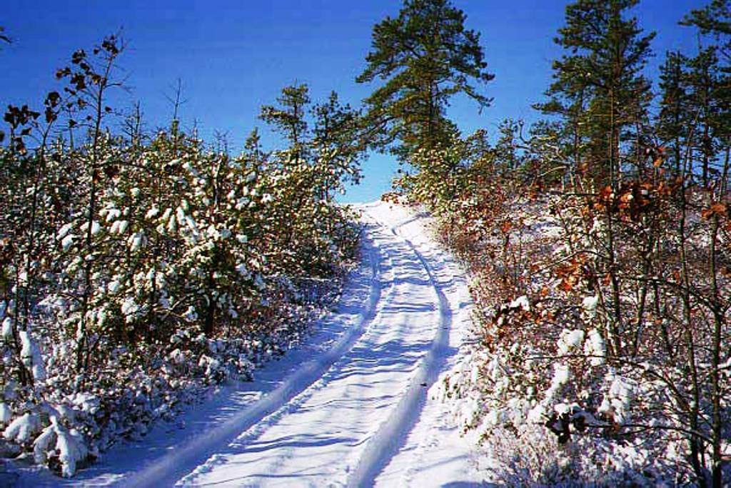 Trail to the top of the Forked River Mountains in Winter