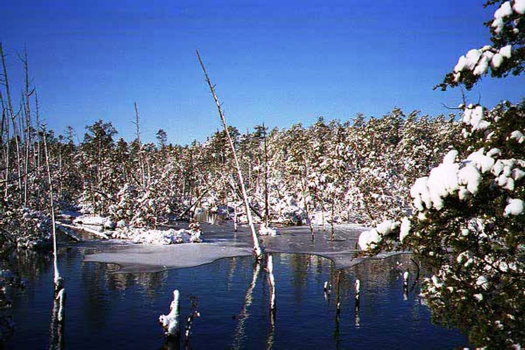 South Branch of the Forked River in Winter