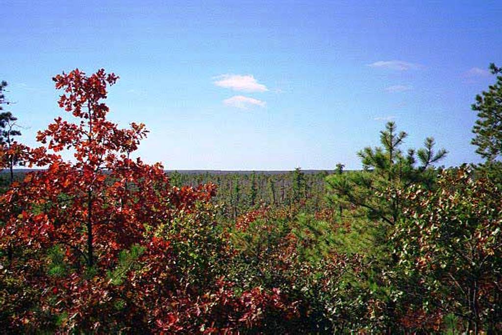 View from the top of the Forked River Moutains in Autumn