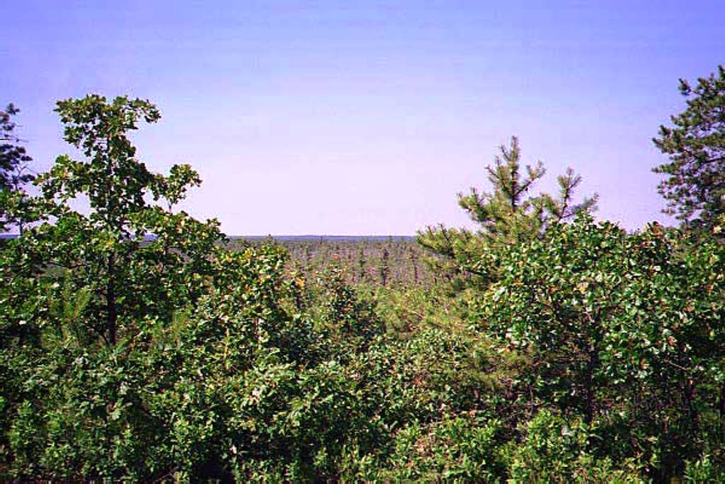 View from the top of the Forked River Mountains in Summer