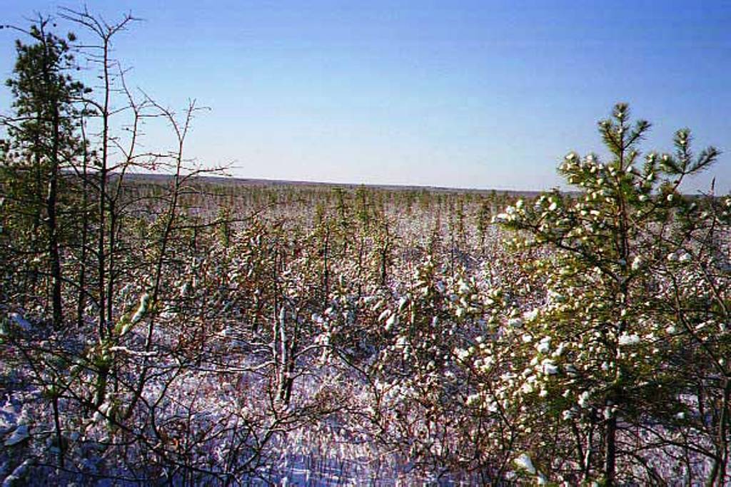 View from the top of the Forked River Mountains in Winter