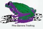 Pine Barrens Tree Frog
